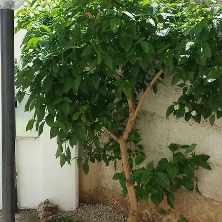A Casa Mia סאניקולה